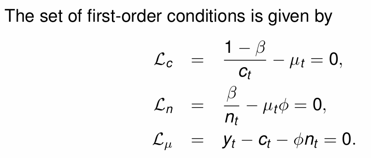 <p>What are the resulting equations for c<sub>t</sub> and n<sub>t</sub>?</p>