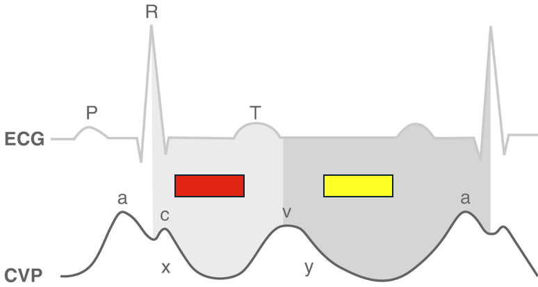 <p>a</p>