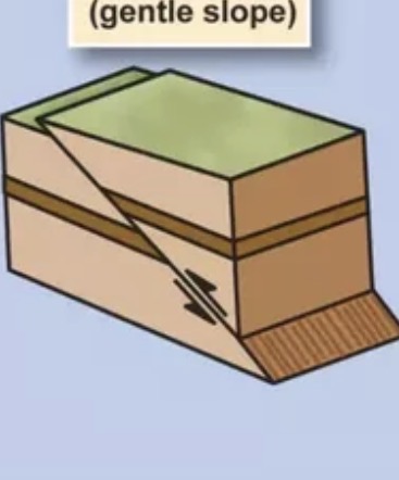<p>low-angle reverse fault</p>