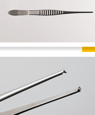<p>Forceps</p>