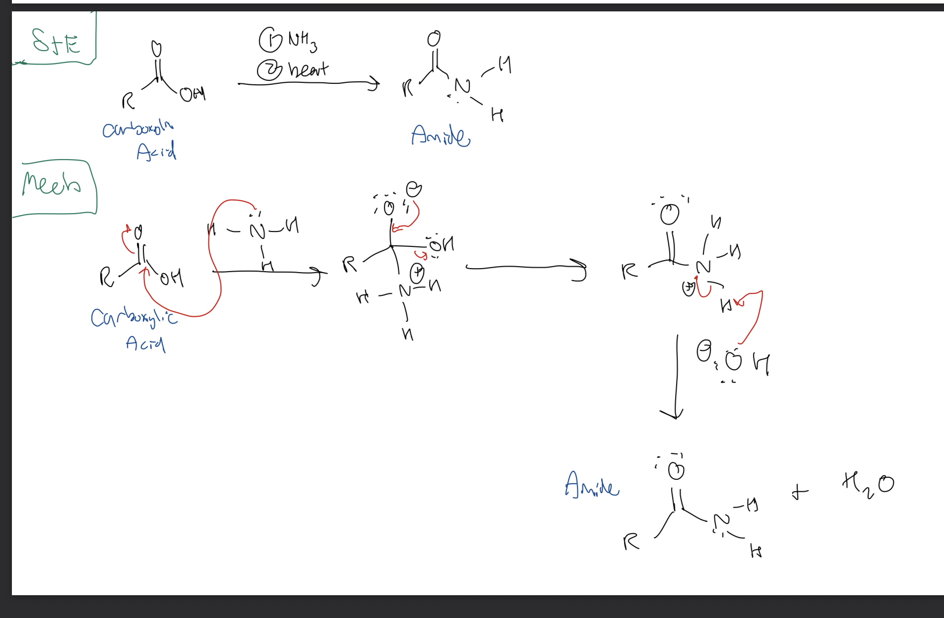<p><strong>Carboxylic Acid → Amide</strong></p>