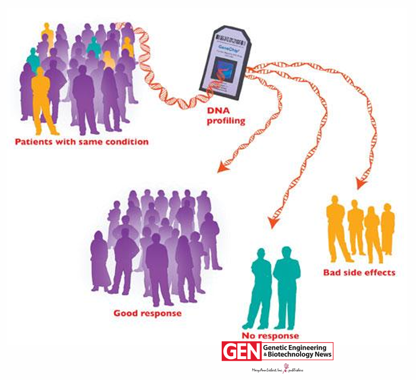 <ul><li><p>Patient stratification: study the impact of genetic variations on drug response and drug metabolism</p></li><li><p>Patient’s response to treatment could be linked to SNP genomic profile</p></li><li><p>Can assess the efficacy and drug-related toxicity</p></li><li><p>Helps to determine which available drugs are suitable for a particular patient </p></li><li><p>Safer and more powerful medicines</p></li></ul><p></p>