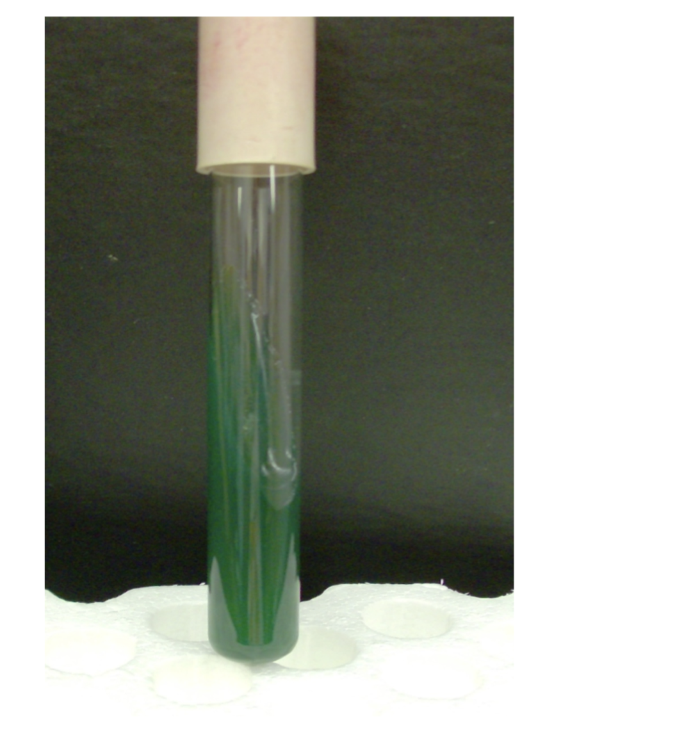 <p>what is the test and result?</p>