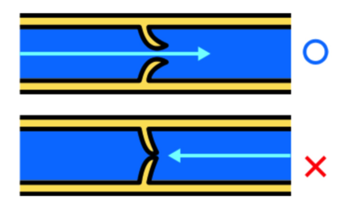 <p>prevent back-flow specifically</p><p>from fighting the force of gravity</p><p>(Note: one-way valve)</p>
