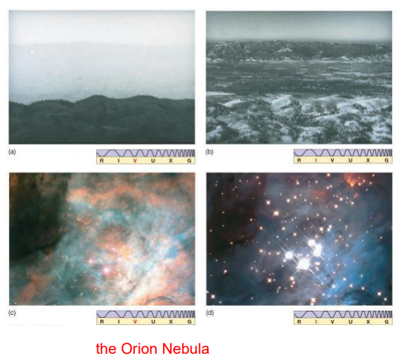 <ul><li><p>Optical telescope mirrors and lenses can generally be used.</p></li><li><p>detectors designed to be sensitive to radiation of longer wavelengths</p></li></ul><p></p>