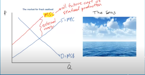 <p>tragedy of the commons, cost to society is greater</p>