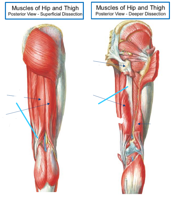 <p>Label the following diagram</p>
