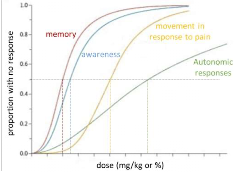 <p>Potency is measured as the dose required to prevent a response to a stimulus in 50% of subjects, expressed as ED50 for injectables or MAC for inhalants.</p>