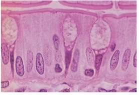 <p>What is this?</p>