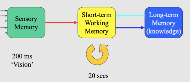 <ul><li><p><span style="background-color: transparent;">Works in the range of seconds to minutes</span></p></li><li><p><span style="background-color: transparent;">Short-term memory buffer = allows for manipulation of stored information</span></p></li><li><p><span style="background-color: transparent;">Working memory = has to be actively maintained</span></p></li><li><p><span style="background-color: transparent;">Is fragile + easily disrupted</span></p></li><li><p><span style="background-color: transparent;">Has a limited capacity</span></p></li></ul><p></p>
