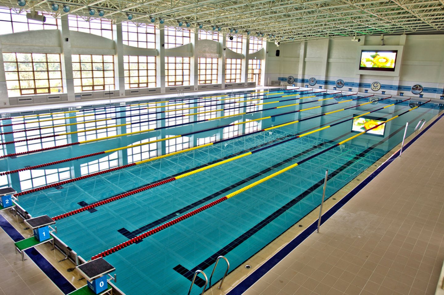 <p>swimming pool (water+swim+large place)</p>