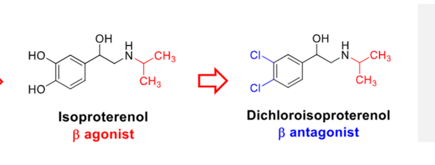<p>• Replace catechol hydroxyls in isoproterenol with chlorines → Dichloroisoproterenol as ß-antagonist.</p><p>• Later inserted an oxygen (ether) and converted chlorine into a cyclic structure</p>
