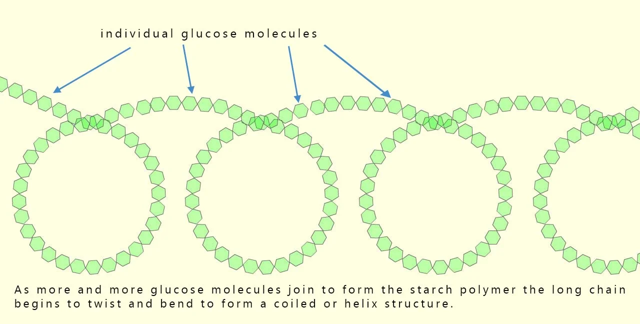 <p>Amylose (starch)</p>