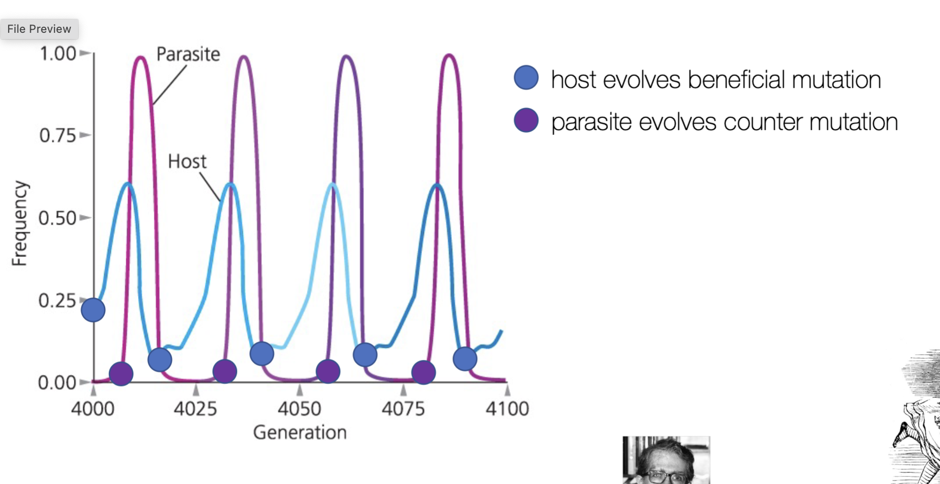 <p>back and forth predator prey alternations. coEVOLUTION? </p>
