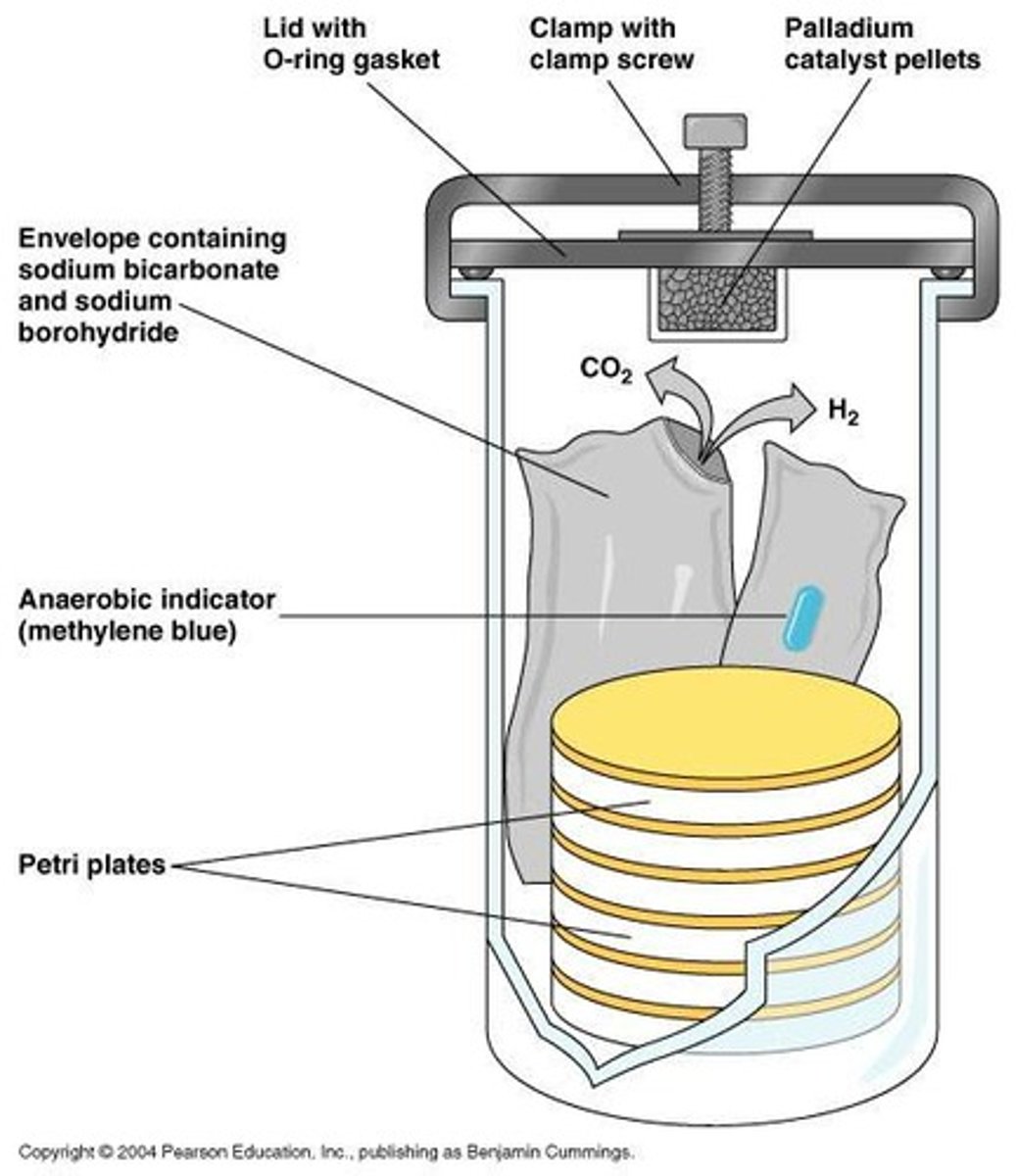 <p>Used to create anaerobic, microaerophilic, CO2-enriched</p><p>conditions depending on specific needs of bacteria being cultivated</p>