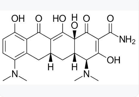 <p>Tetracycline with a 7-dimethylamino group.</p>