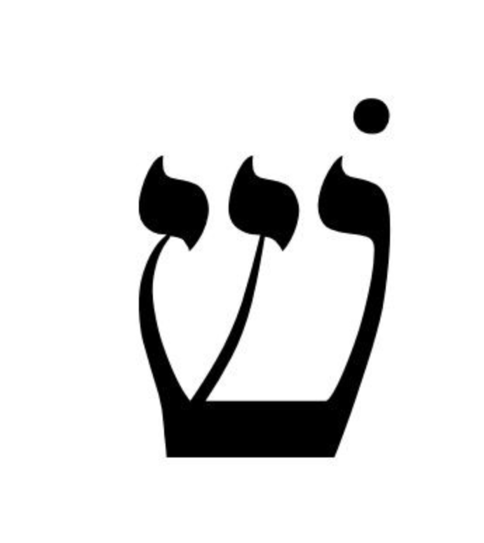 term image