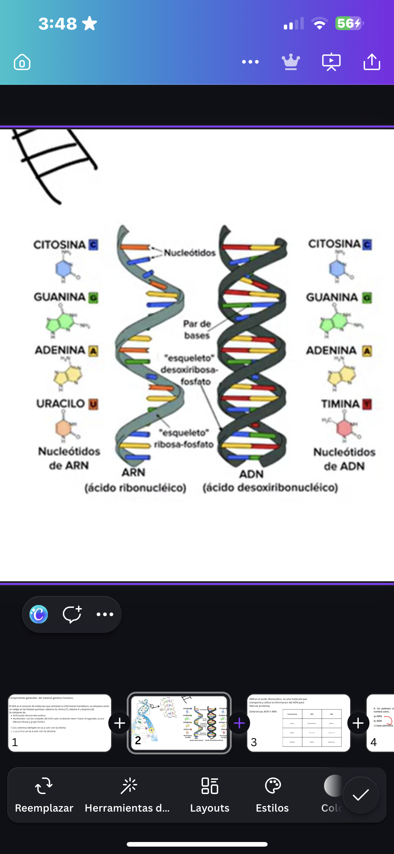 <p>¿Cuál es la diferencia de cadenas entre ADN y ARN?</p>