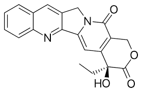 <p>camptothecin (CPT)</p>