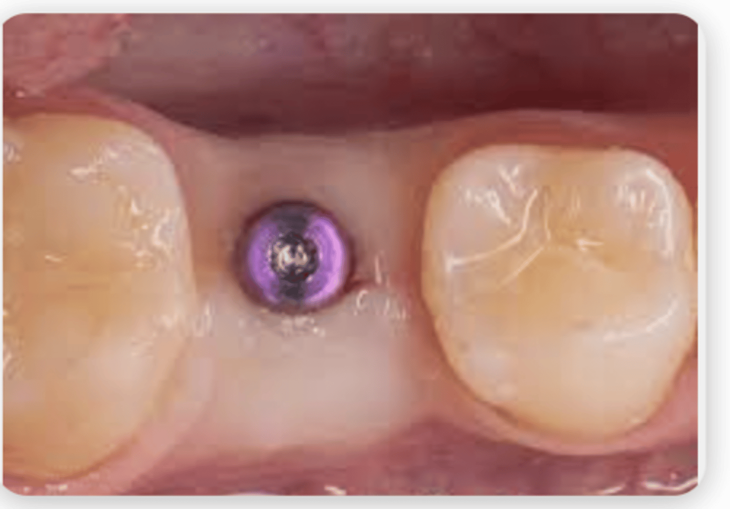 <p>What is this?</p>