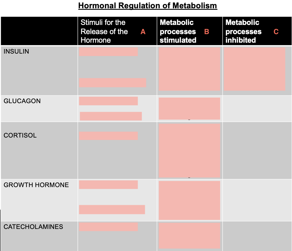 <p>What is B for growth hormone?</p>