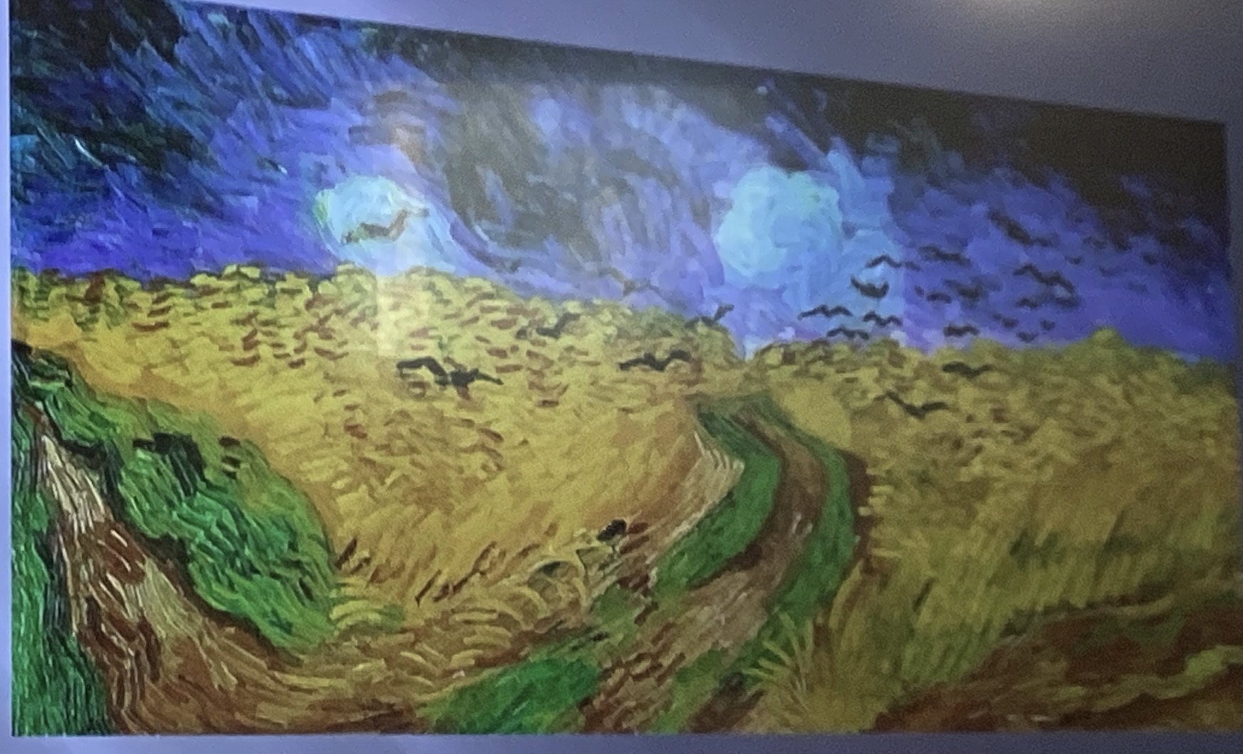 term image