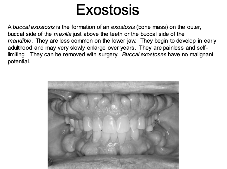 <p>are nodular protuberances of mature bone</p>