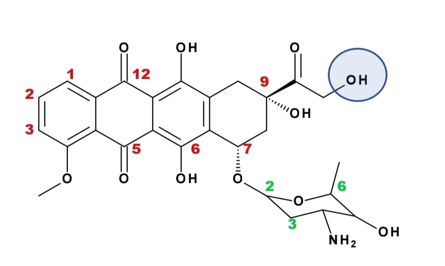 <p>ANTRACYKLINY</p>