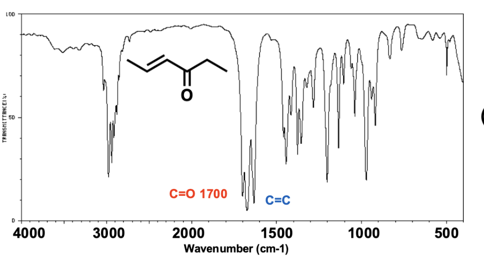 <p>decrease</p>