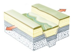 <p>A deep valley that forms where two plates move apart.</p>