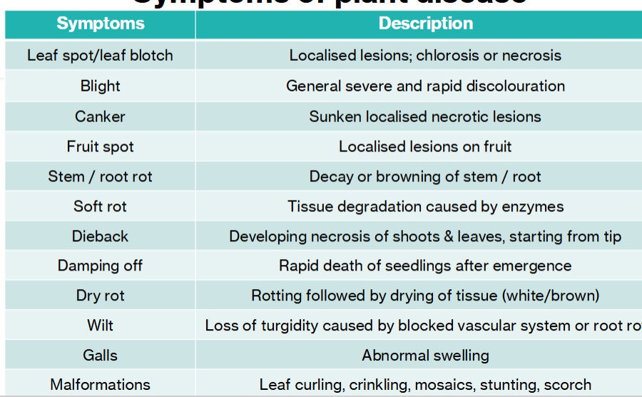 <p>Fungi:</p><ul><li><p>grown as thread like structures (hyphae)</p></li><li><p>spread via spores</p></li><li><p>cause things like mould, rot and leaf spot</p></li><li><p>fungi like microorganism - oomycetes - spread via water</p></li></ul><p>bacteria:</p><ul><li><p>single celled organisms </p></li><li><p>cause leaf spots, rot, wilting, ooze</p></li></ul><p>viruses:</p><ul><li><p>spread by insects (vectors)</p></li><li><p>cause discolouration, stunted growth, deformed leaves </p></li></ul><p>nematodes:</p><ul><li><p>attack roots</p></li><li><p>tiny worms in the soil </p></li><li><p>cause poor growth, root damage, swelling </p></li></ul><p></p>