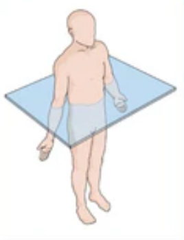<p>Divides into upper and lower portions </p><p>AKA cross-section</p><p>Called oblique plane if cut at an angle </p>