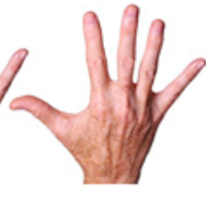 <p>palm facing me hold up all five fingers</p>