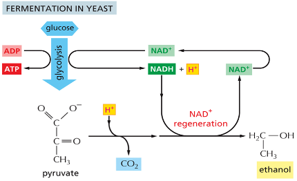 <p>What does this represent? </p>