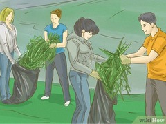 <p>cho phép tôi góp phần cải thiện xã hội</p>