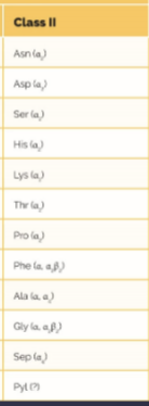 <p>Explain Class II tRNA synthetases</p>