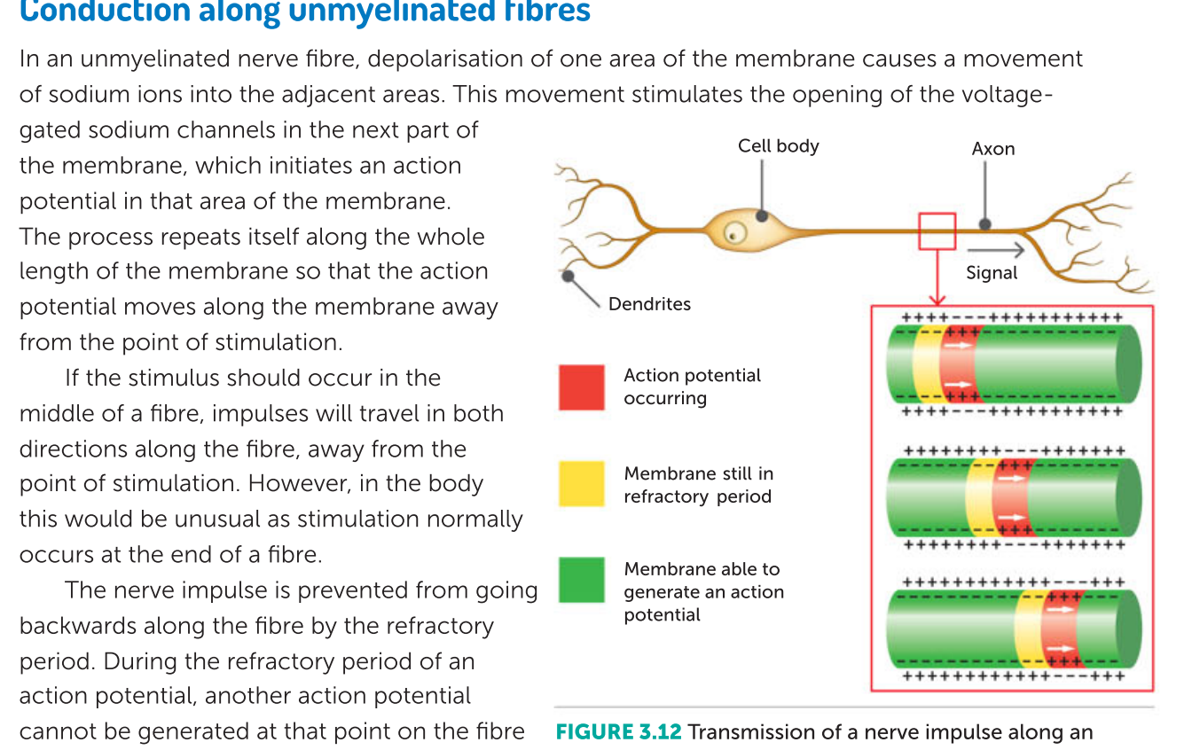 knowt flashcard image