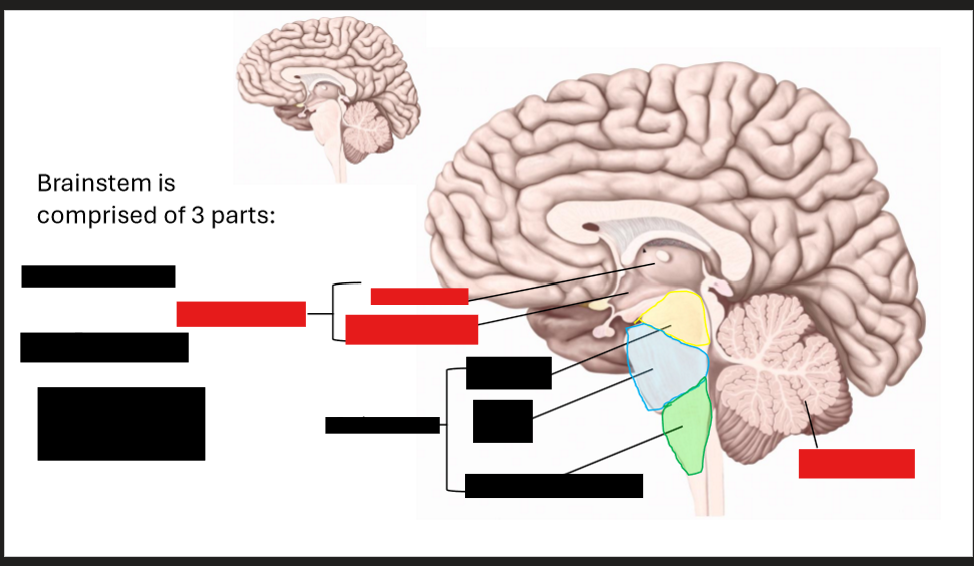 <p>Label this diagram</p>