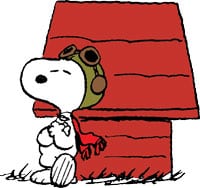 <p>pilot; Snoopy es un piloto.</p>