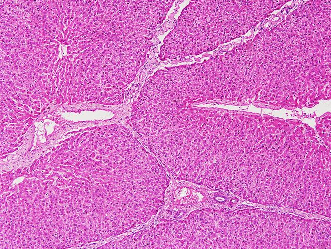 <p>Cơ quan gì ?</p>