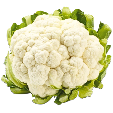 <p>Blumenkohl</p>
