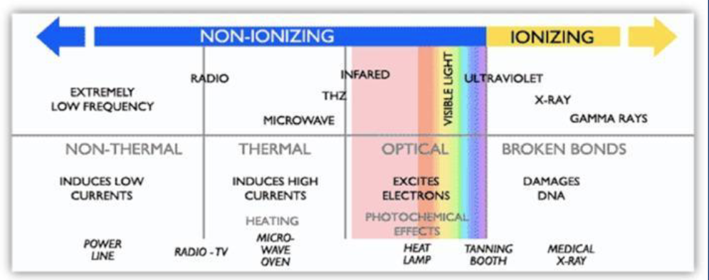 <p>non ionizing</p><ul><li><p>any type of EM <strong>radiation </strong>that does not carry enough energy to change atoms/molecules </p></li></ul><p>ionizing</p><ul><li><p>high energy EM waves</p></li><li><p>removes electrons from atoms → can break chemical bonds in molecules/ change basic make up of atoms in cells </p></li></ul><p></p>