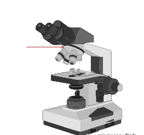 <p>What part of the microscope is this? </p>
