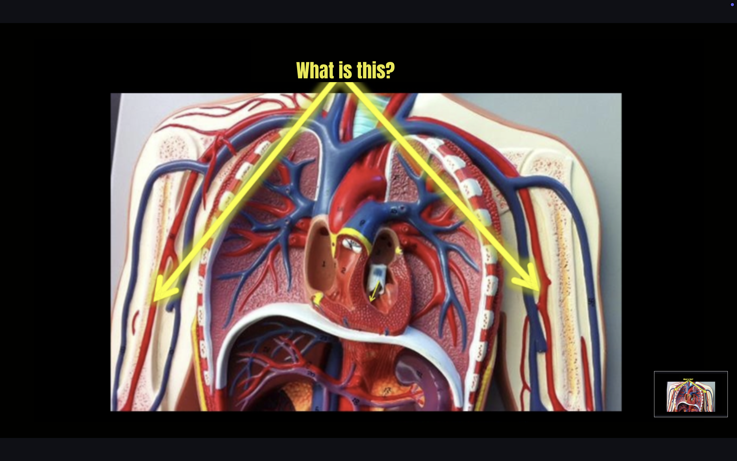 term image