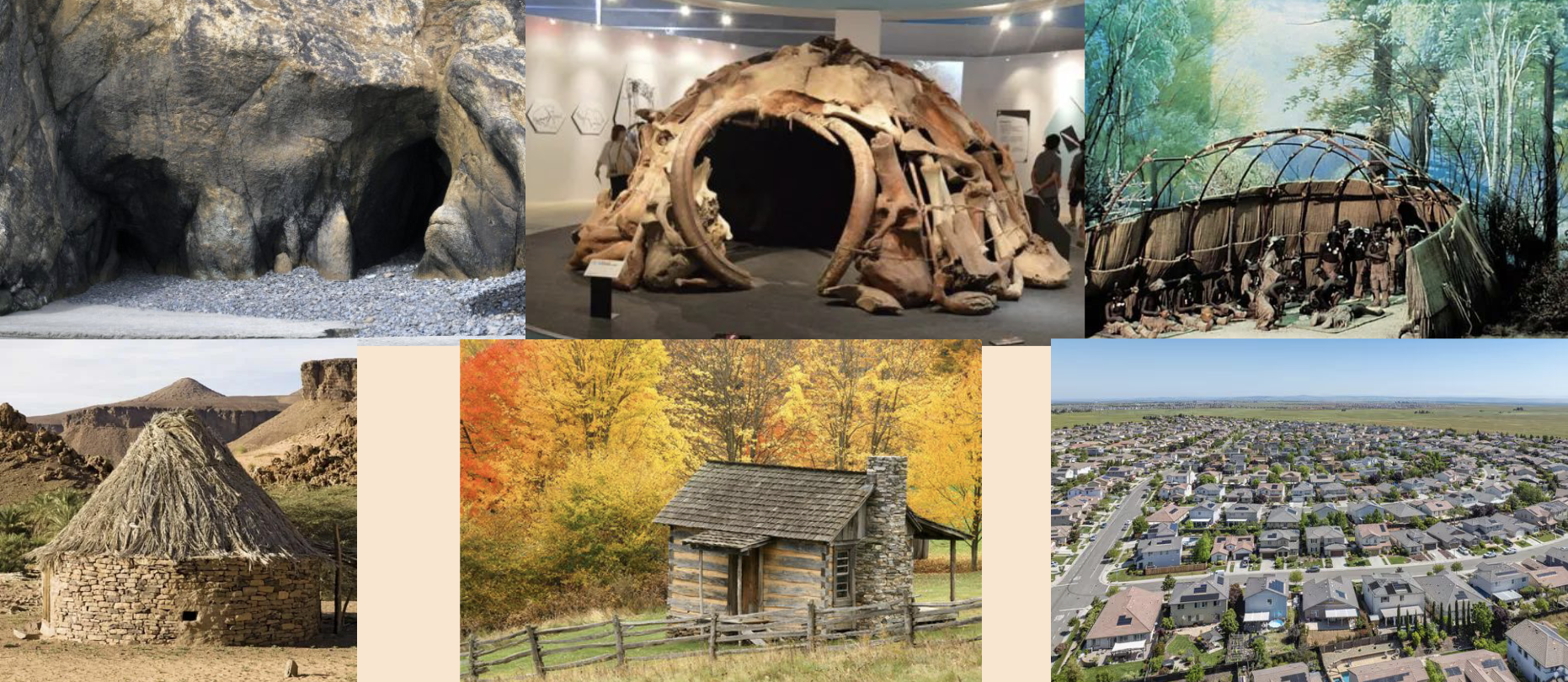 <p><u>Humans</u></p><p>• __ to cities</p><p>• Same __ need</p>