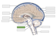 <p>This is the</p>
