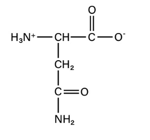 <p>polar neutral</p>