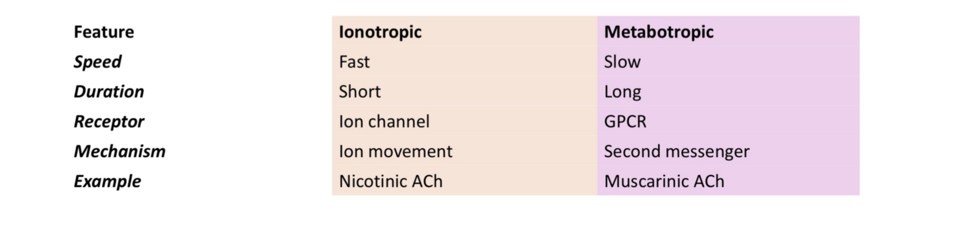 <p>receptor review</p>