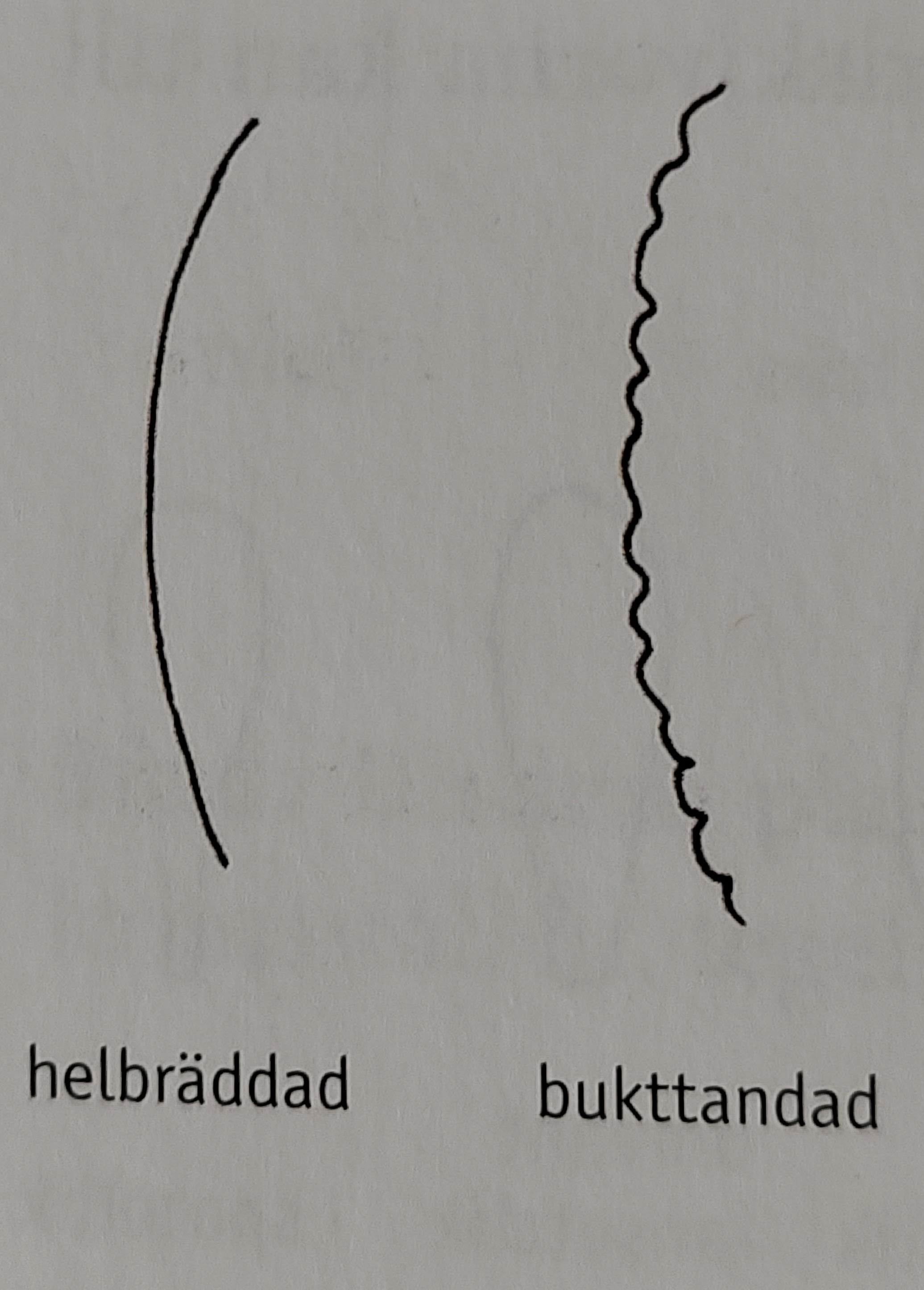 <p></p>