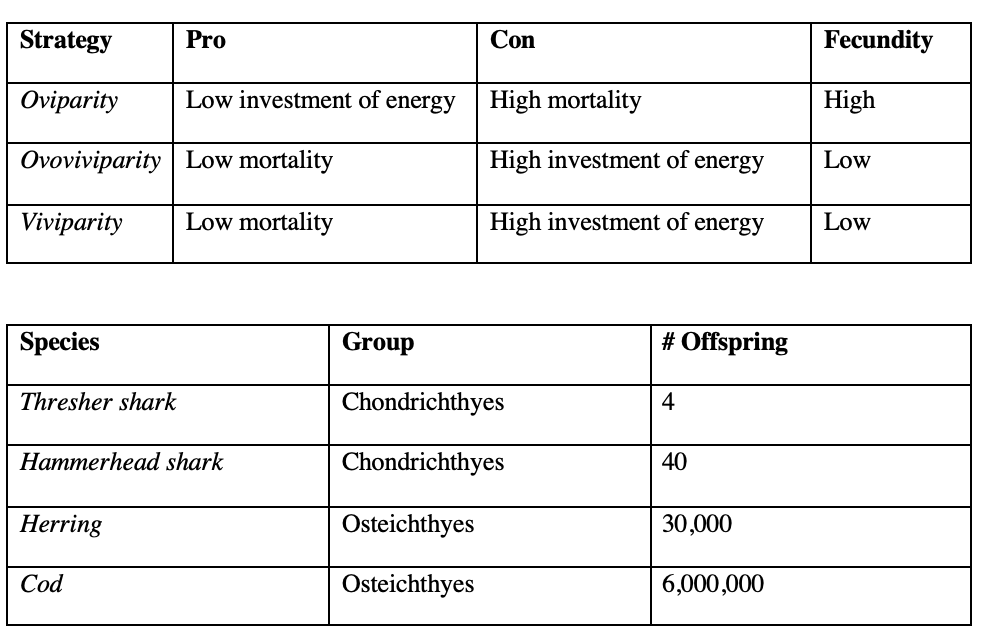 <p><span>-</span><span style="font-family: "Times New Roman"; line-height: normal; font-size: 7pt;">&nbsp;&nbsp;&nbsp;&nbsp;&nbsp;&nbsp;&nbsp;&nbsp;&nbsp;&nbsp;&nbsp;&nbsp;&nbsp; </span><span>Ocean is a dangerous world, so the survival strategies for fish is:</span></p><p class="MsoListParagraphCxSpMiddle"><span style="font-family: "Courier New";">o</span><span style="font-family: "Times New Roman"; line-height: normal; font-size: 7pt;">&nbsp;&nbsp; </span><span>Produce many small offspring</span></p><p class="MsoListParagraphCxSpMiddle"><span style="font-family: "Courier New";">o</span><span style="font-family: "Times New Roman"; line-height: normal; font-size: 7pt;">&nbsp;&nbsp; </span><span>Invest in a few large offspring</span></p><p class="MsoListParagraphCxSpMiddle"><span>-</span><span style="font-family: "Times New Roman"; line-height: normal; font-size: 7pt;">&nbsp;&nbsp;&nbsp;&nbsp;&nbsp;&nbsp;&nbsp;&nbsp;&nbsp;&nbsp;&nbsp;&nbsp;&nbsp; </span><span>3 fish reproductive strategies</span></p><p class="MsoListParagraphCxSpMiddle"><span style="font-family: "Courier New";">o</span><span style="font-family: "Times New Roman"; line-height: normal; font-size: 7pt;">&nbsp;&nbsp; </span><span>Oviparity</span></p><p class="MsoListParagraphCxSpMiddle"><span>§</span><span style="font-family: "Times New Roman"; line-height: normal; font-size: 7pt;">&nbsp; </span><span>External fertilization of eggs in the water column</span></p><p class="MsoListParagraphCxSpMiddle"><span style="font-family: "Courier New";">o</span><span style="font-family: "Times New Roman"; line-height: normal; font-size: 7pt;">&nbsp;&nbsp; </span><span>Viviparity</span></p><p class="MsoListParagraphCxSpMiddle"><span>§</span><span style="font-family: "Times New Roman"; line-height: normal; font-size: 7pt;">&nbsp; </span><span>Internal fertilization, live young nourished by mother</span></p><p class="MsoListParagraphCxSpMiddle"><span style="font-family: "Courier New";">o</span><span style="font-family: "Times New Roman"; line-height: normal; font-size: 7pt;">&nbsp;&nbsp; </span><span>Ovoviviparity</span></p><p class="MsoListParagraphCxSpLast"><span>§</span><span style="font-family: "Times New Roman"; line-height: normal; font-size: 7pt;">&nbsp; </span><span>Internal fertilization, live young nourished by yolk sac</span></p><p class="MsoListParagraphCxSpLast"><span>-</span><span style="font-family: "Times New Roman"; line-height: normal; font-size: 7pt;">&nbsp;&nbsp;&nbsp;&nbsp;&nbsp;&nbsp;&nbsp;&nbsp;&nbsp;&nbsp;&nbsp;&nbsp;&nbsp; </span><span>Why so many?</span></p><p class="MsoListParagraphCxSpMiddle"><span style="font-family: "Courier New";">o</span><span style="font-family: "Times New Roman"; line-height: normal; font-size: 7pt;">&nbsp;&nbsp; </span><span>Massive mortality in plankton</span></p><p class="MsoListParagraphCxSpMiddle"><span>§</span><span style="font-family: "Times New Roman"; line-height: normal; font-size: 7pt;">&nbsp;</span><span>2%/day mortality in 6,000,000 cod larva means only 2 survive to sexual maturity</span></p><p class="MsoListParagraphCxSpMiddle"><span>-</span><span style="font-family: "Times New Roman"; line-height: normal; font-size: 7pt;">&nbsp;&nbsp;&nbsp;&nbsp;&nbsp;&nbsp;&nbsp;&nbsp;&nbsp;&nbsp;&nbsp;&nbsp;&nbsp; </span><span>When timing is right…</span></p><p class="MsoListParagraphCxSpMiddle"><span style="font-family: "Courier New";">o</span><span style="font-family: "Times New Roman"; line-height: normal; font-size: 7pt;">&nbsp;&nbsp; </span><span>High fecundity species have variable potential for success</span></p><p class="MsoListParagraphCxSpMiddle"><span style="font-family: "Courier New";">o</span><span style="font-family: "Times New Roman"; line-height: normal; font-size: 7pt;">&nbsp;&nbsp; </span><span>Many environmental determinants</span></p><p class="MsoListParagraphCxSpMiddle"><span style="font-family: "Courier New";">o</span><span style="font-family: "Times New Roman"; line-height: normal; font-size: 7pt;">&nbsp;&nbsp; </span><span>Large year classes are possible</span></p><p class="MsoListParagraphCxSpMiddle"><span>-</span><span style="font-family: "Times New Roman"; line-height: normal; font-size: 7pt;">&nbsp;&nbsp;&nbsp;&nbsp;&nbsp;&nbsp;&nbsp;&nbsp;&nbsp;&nbsp;&nbsp;&nbsp;&nbsp; </span><span>Dangers of exploiting low fecundity species</span></p><p class="MsoListParagraphCxSpMiddle"><span style="font-family: "Courier New";">o</span><span style="font-family: "Times New Roman"; line-height: normal; font-size: 7pt;">&nbsp;&nbsp; </span><span>Few offspring means slow recovery from over-fishing</span></p><p class="MsoListParagraphCxSpMiddle"><span style="font-family: "Courier New";">o</span><span style="font-family: "Times New Roman"; line-height: normal; font-size: 7pt;">&nbsp;&nbsp; </span><span>Shark fin fisheries particularly problematic</span></p><p class="MsoListParagraphCxSpLast"><span style="font-family: "Courier New";">o</span><span style="font-family: "Times New Roman"; line-height: normal; font-size: 7pt;">&nbsp;&nbsp; </span><span>Bycatch a problem, too</span></p>
